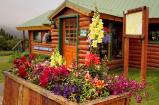 Flower box at Sheep Mountain Lodge